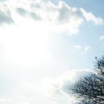 産休育休などで急に孤独や悩みを抱えるママたちのためのコミュニティサイト