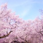 子どもの入学式や卒園式時に着る服や小物が見つからないときに確認するサイト